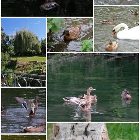O Jardin De
