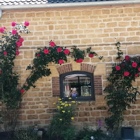 O Jardin De