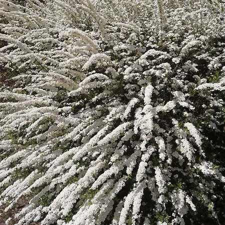 O Jardin De * Boutancourt