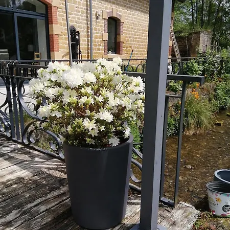 ô Jardin De Hébergement de vacances