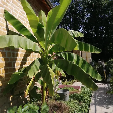 Сasa de vacaciones O Jardin De *