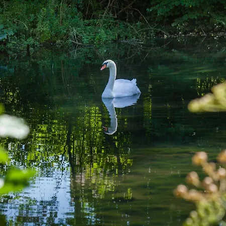 O Jardin De * Boutancourt