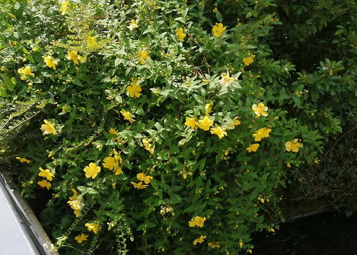 ô Jardin De Boutancourt